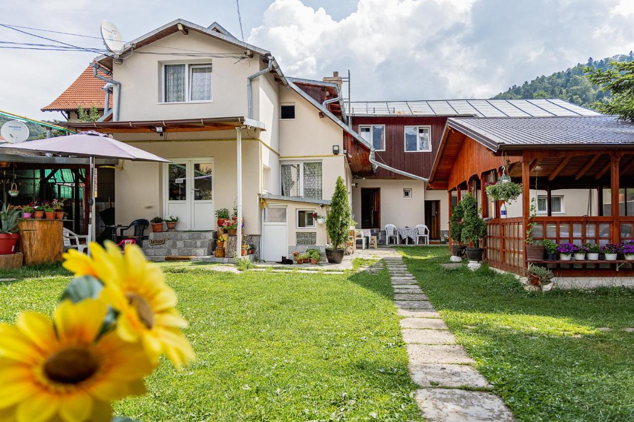 Pensiunea Montan Buşteni Dış mekan fotoğraf