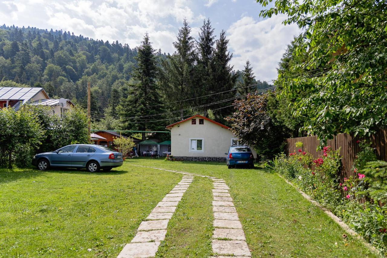 Pensiunea Montan Buşteni Dış mekan fotoğraf