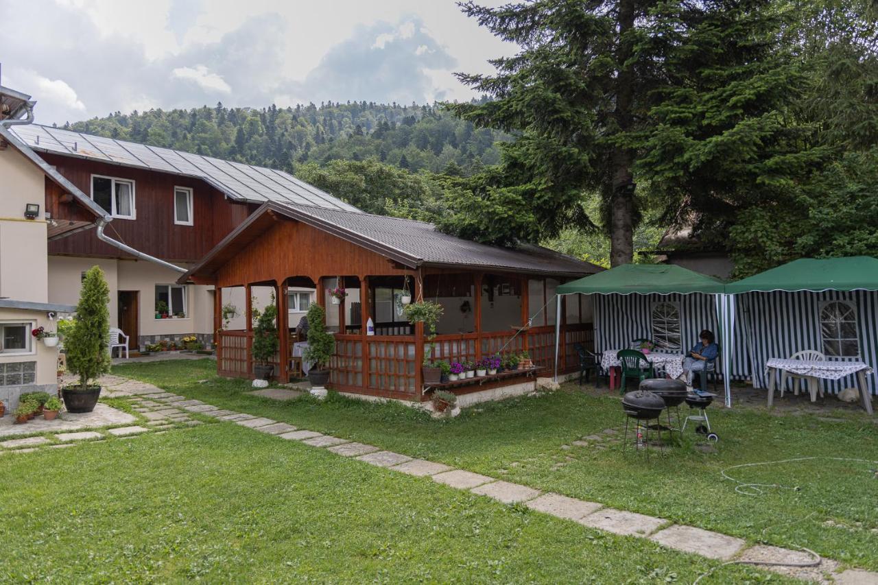 Pensiunea Montan Buşteni Dış mekan fotoğraf
