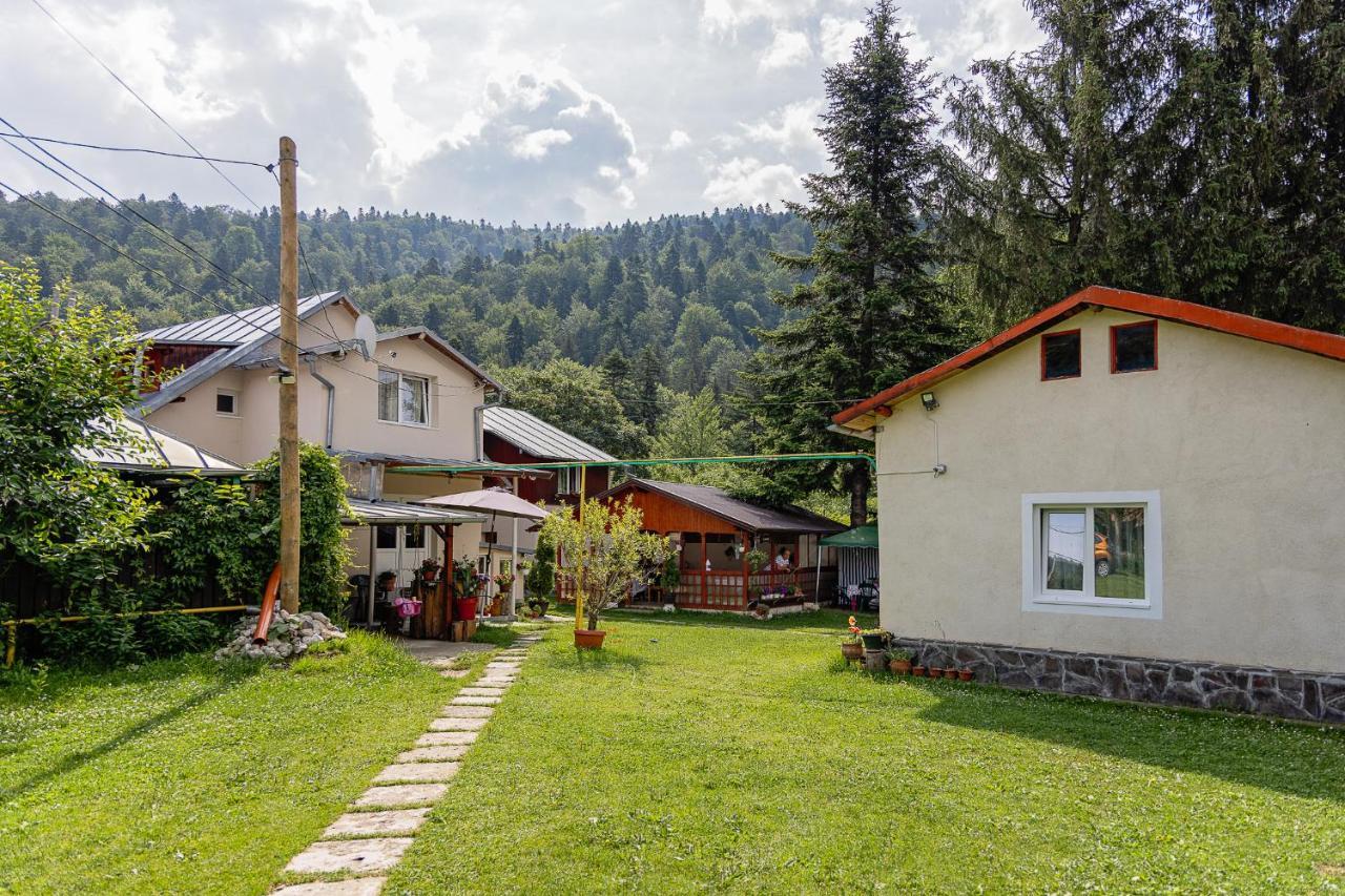 Pensiunea Montan Buşteni Dış mekan fotoğraf