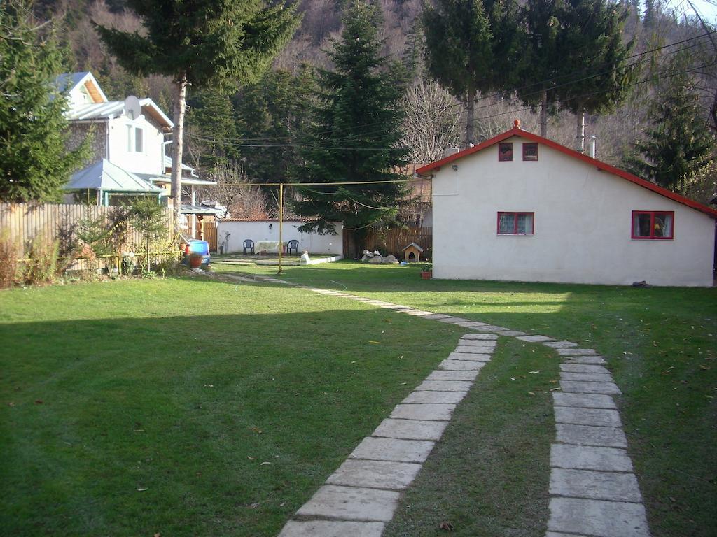 Pensiunea Montan Buşteni Dış mekan fotoğraf