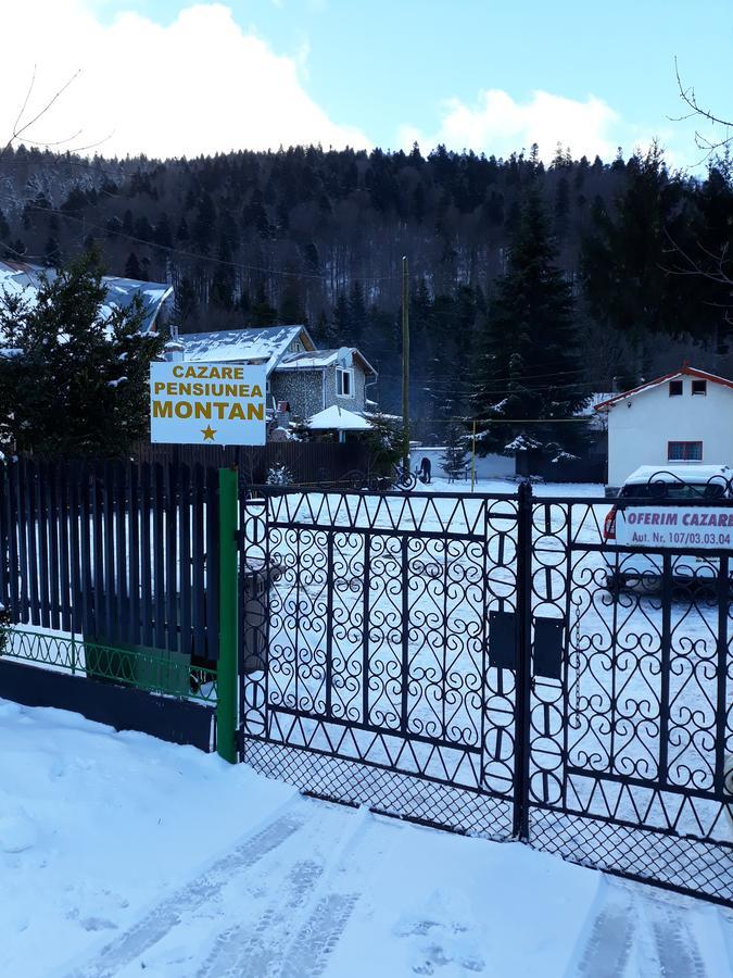 Pensiunea Montan Buşteni Dış mekan fotoğraf