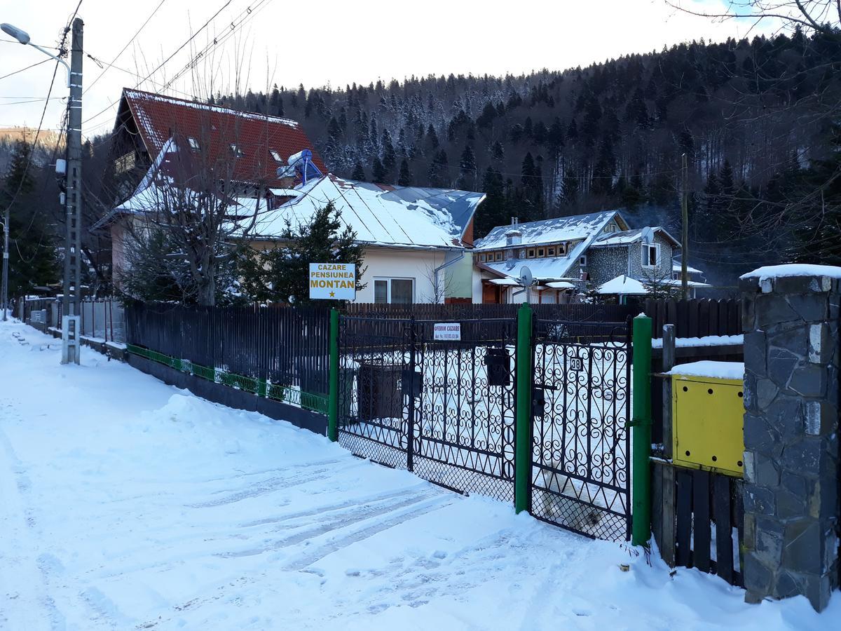 Pensiunea Montan Buşteni Dış mekan fotoğraf